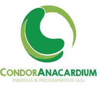 condor logo horizontal